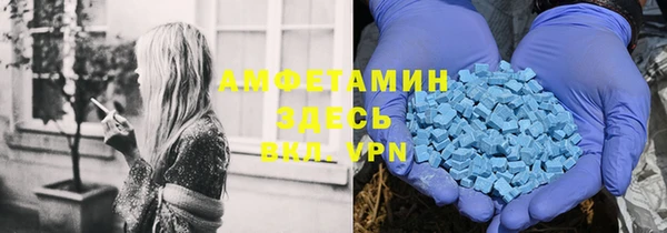 сатива Абинск