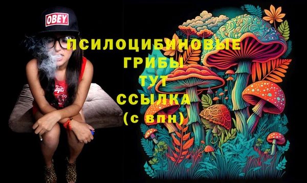 соль ск Абдулино