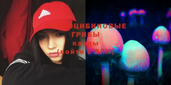 сатива Абинск