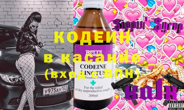 индика Губаха