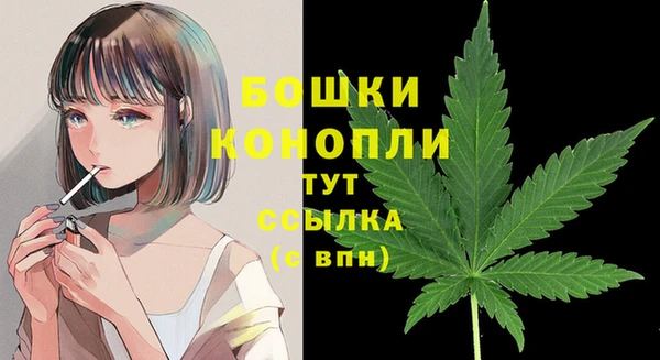 сатива Абинск