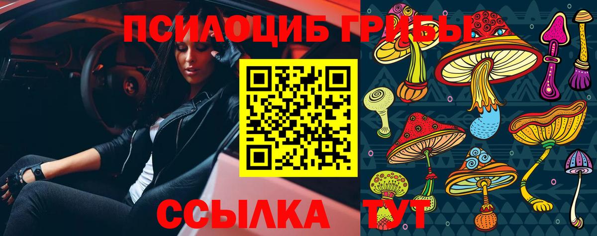 Ивантеевка  Псилоцибиновые грибы ЛСД  Вход с VPN 
